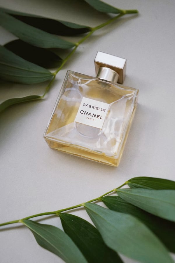 chanel perfume photo, white background with plants